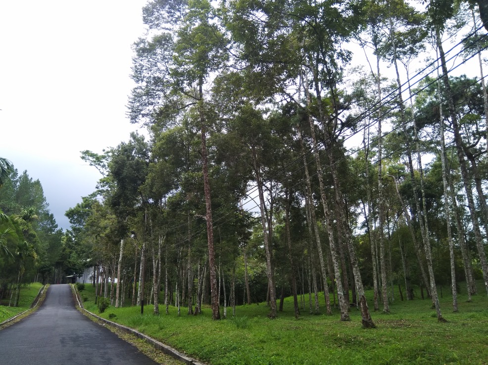 IMG 20181127 131251