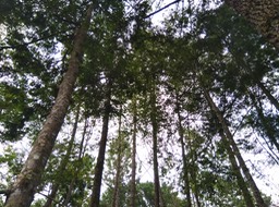 IMG 20181127 134552