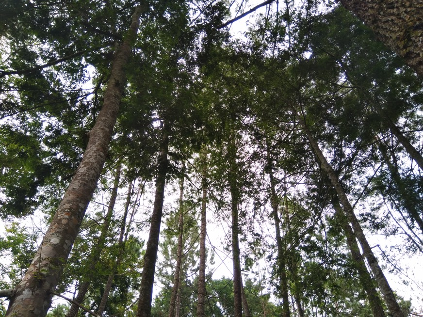 IMG 20181127 134552